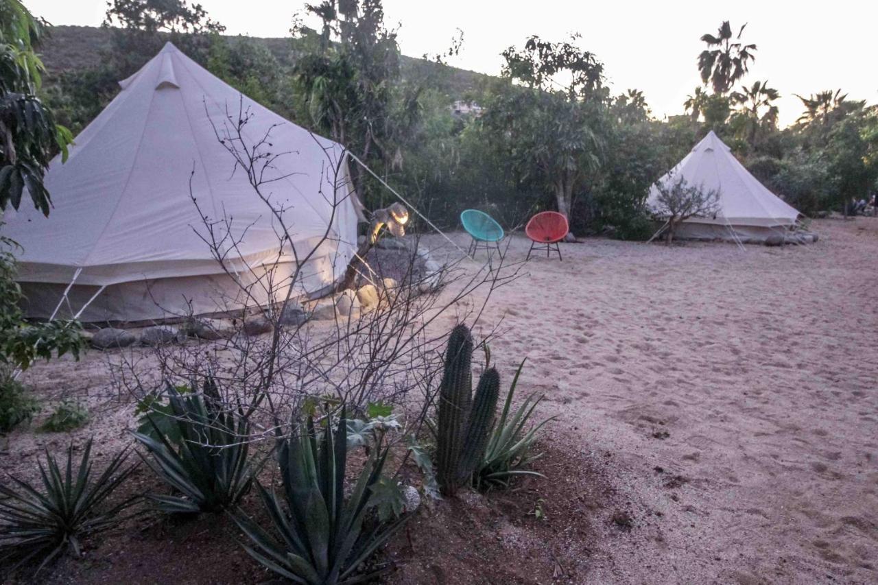 Todos Santos Hostel Super Fast And Stable Satellite Wifi Exterior foto