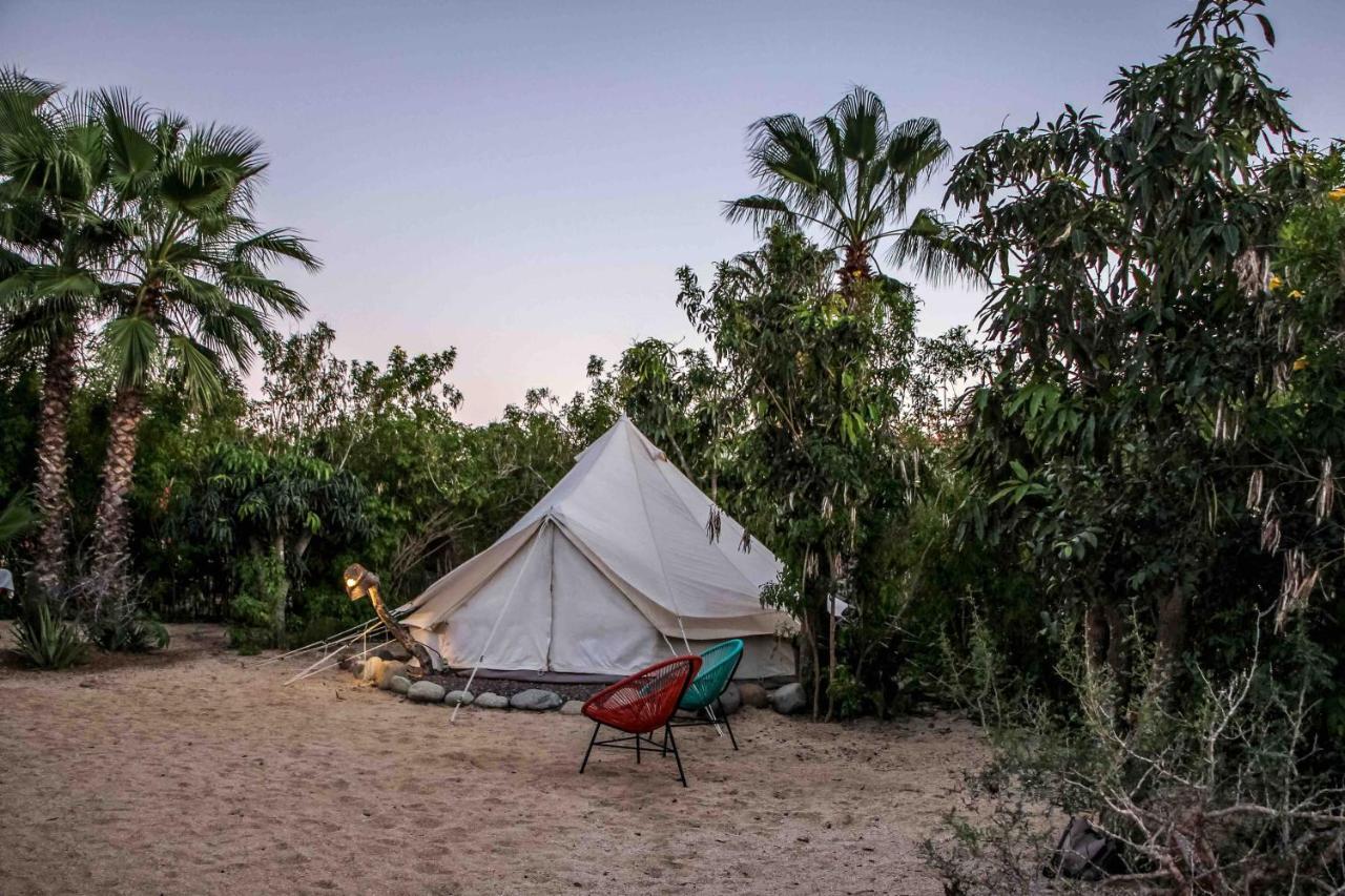 Todos Santos Hostel Super Fast And Stable Satellite Wifi Exterior foto