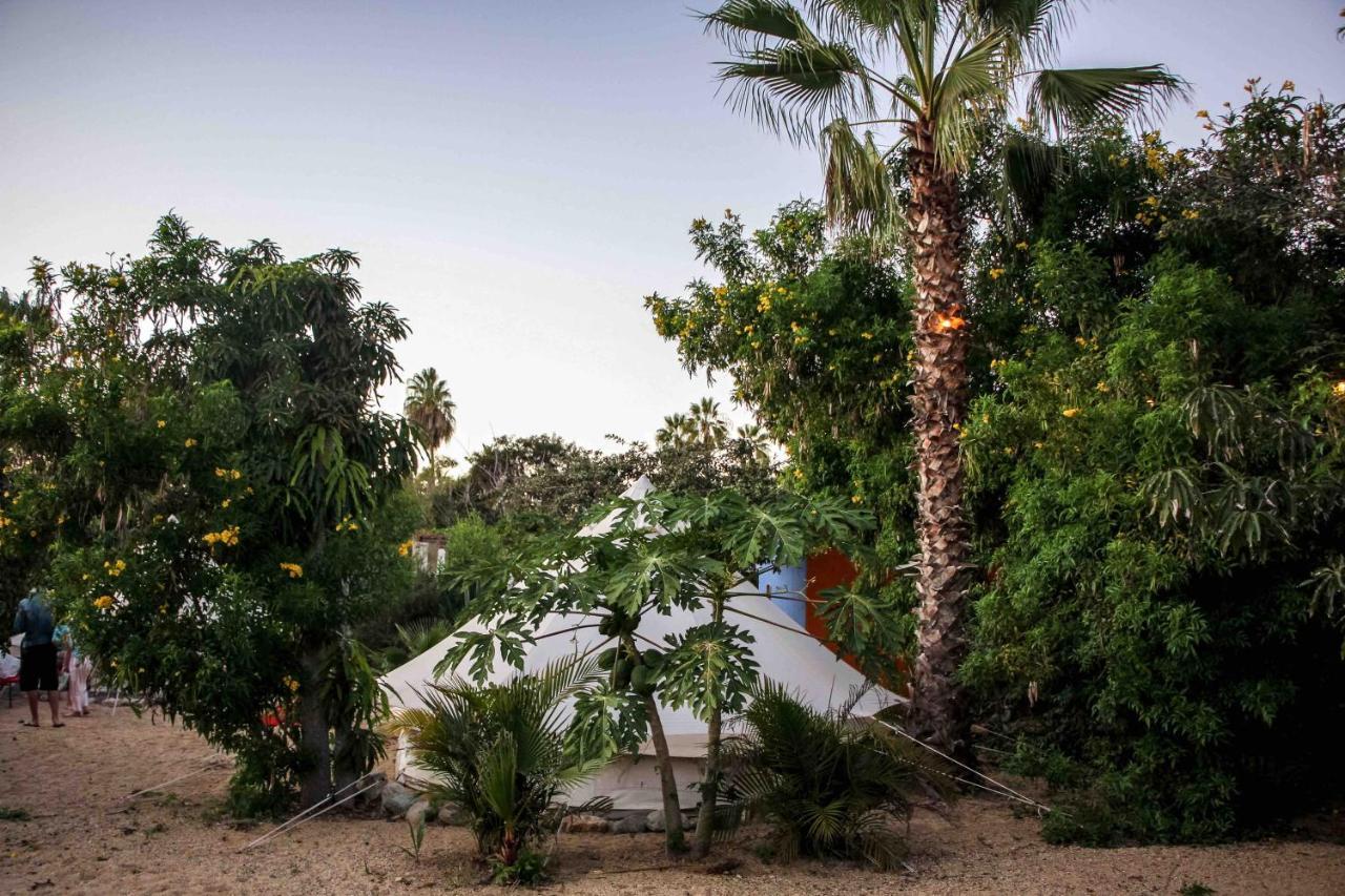 Todos Santos Hostel Super Fast And Stable Satellite Wifi Exterior foto