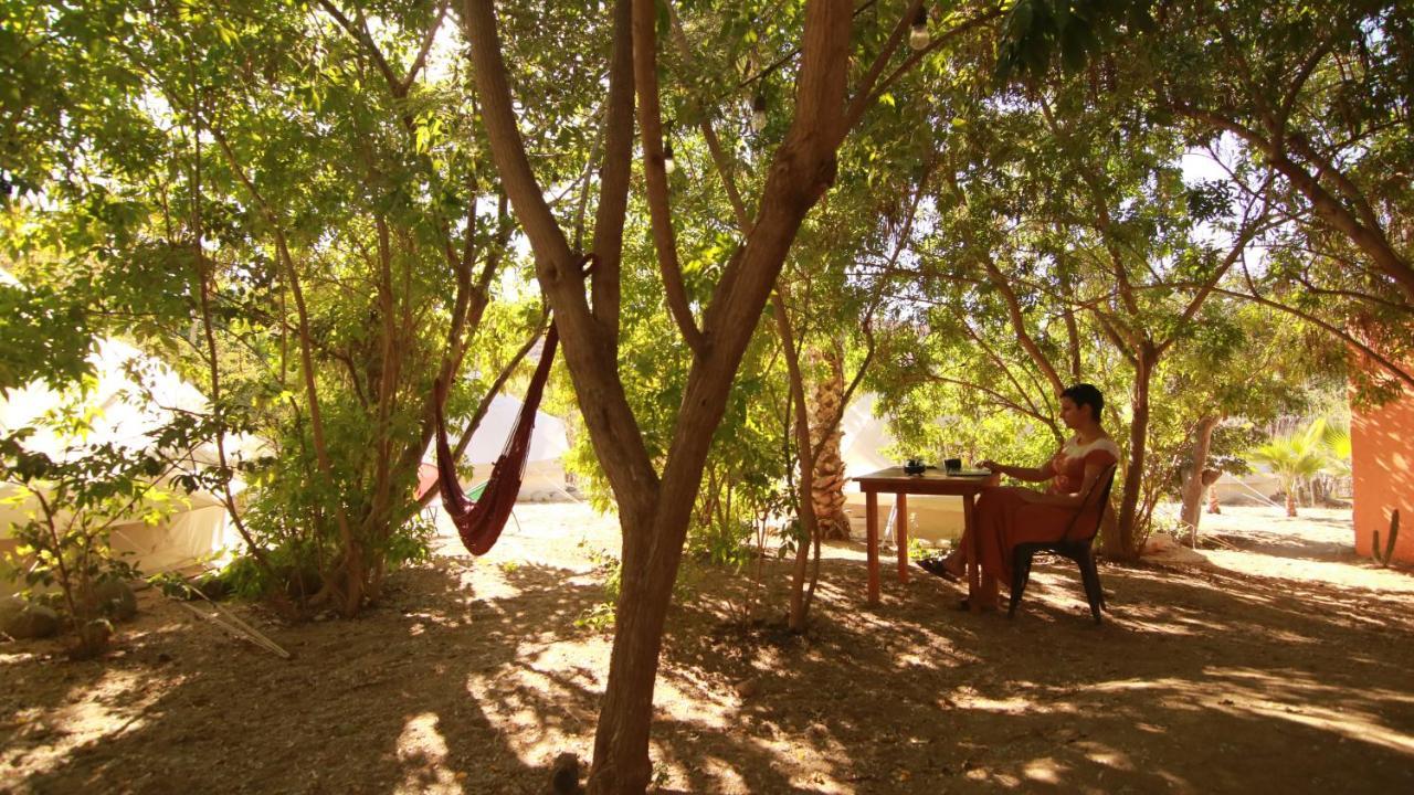 Todos Santos Hostel Super Fast And Stable Satellite Wifi Exterior foto